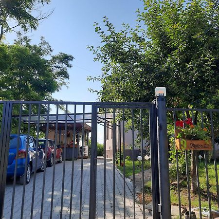 Vintage And Cozy Room, Free Parking, Shared House In The Small Quiet Village Alba Iulia Exterior photo