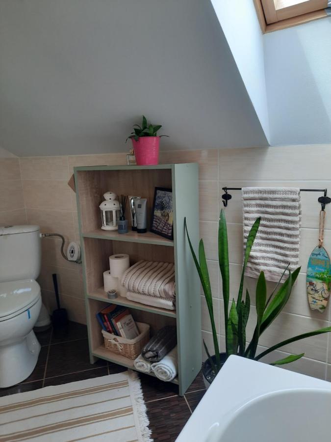 Vintage And Cozy Room, Free Parking, Shared House In The Small Quiet Village Alba Iulia Exterior photo
